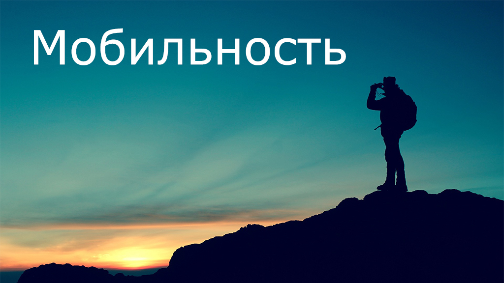 Мобильность